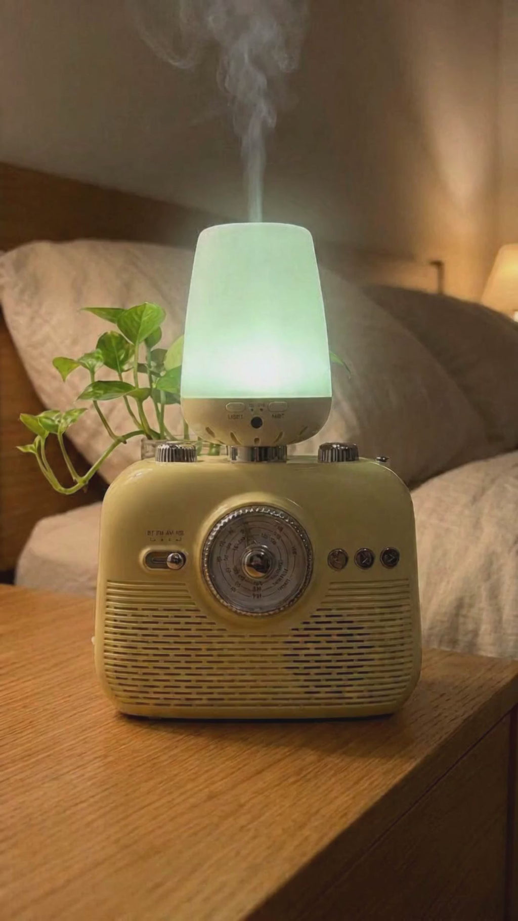 9-in-1 Bluetooth Radio, Diffuser & Emergency Prep
